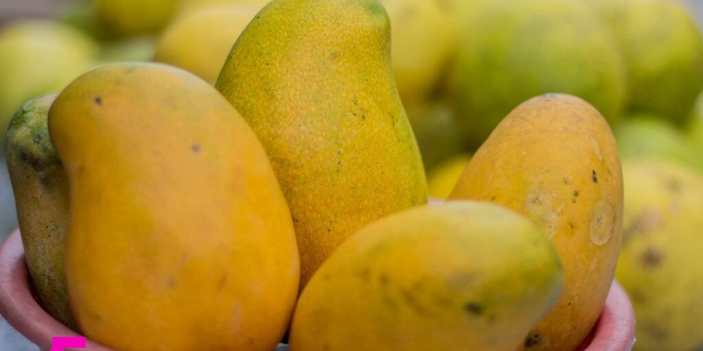 taste-of-jamaica-mango–003