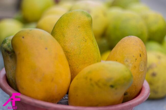 taste-of-jamaica-mango–003