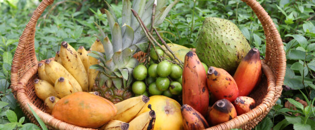 Taste our Local Fruits in Season