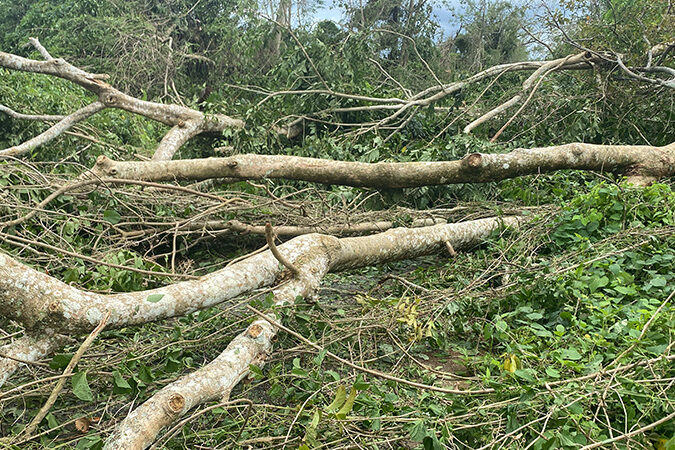 hurricane melissa Damage